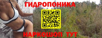 ECSTASY Новодвинск