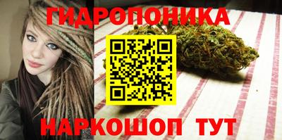 круглые Новозыбков