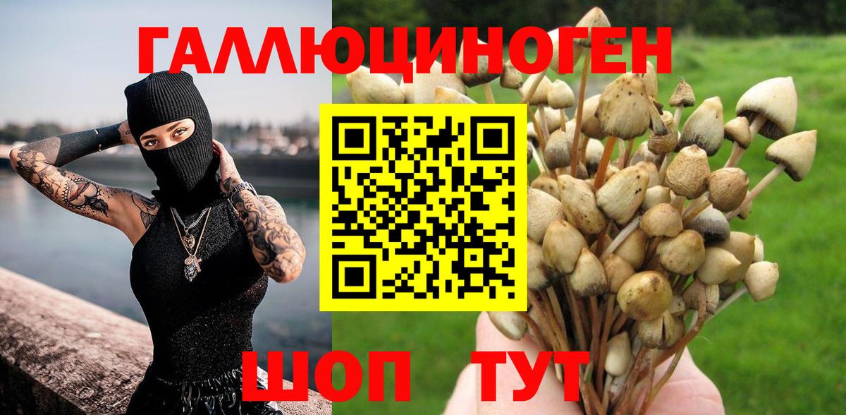Псилоцибиновые грибы Magic Shrooms  Псилоцибиновые грибы прущие грибы  Вход с VPN  Серпухов 