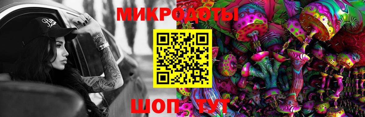 Галлюциногенные грибы Psilocybe Серпухов